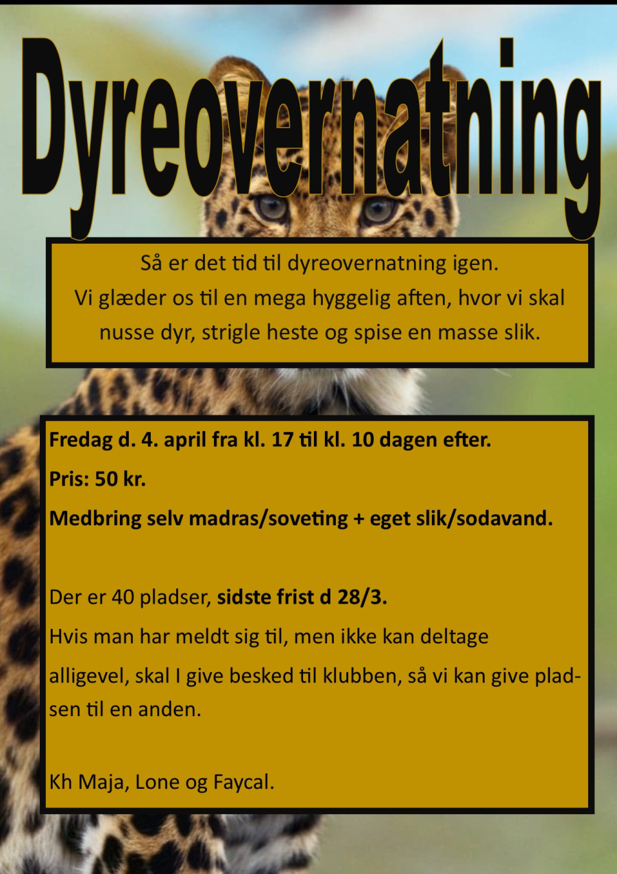 Dyreovernatning 2025